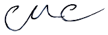 CEO Signature