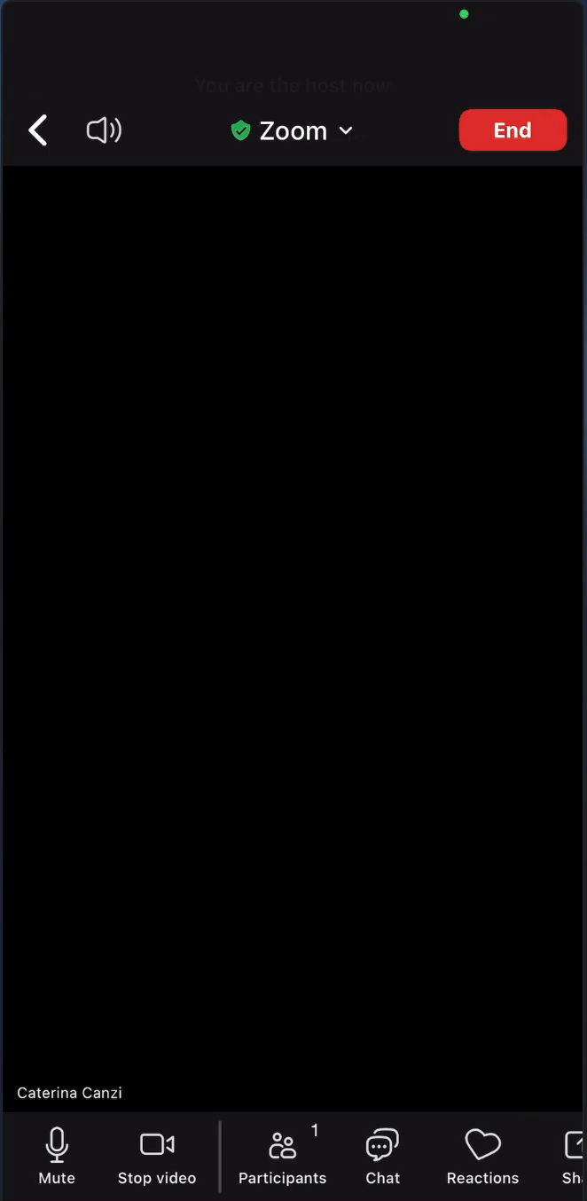 How to open Zoom Video Test on a phone (students)