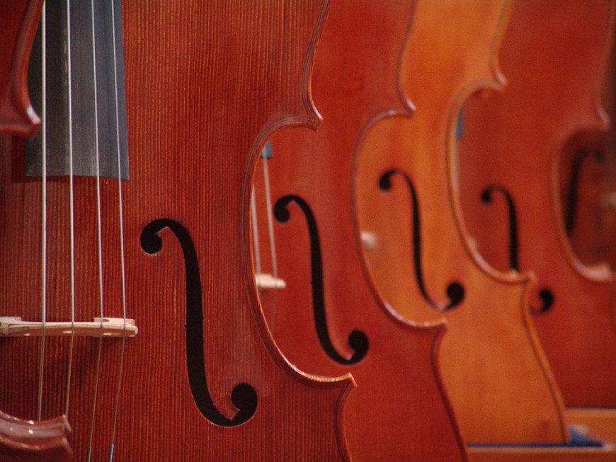 Violins in a row