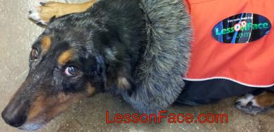 If it's music, learn it at Lessonface.com