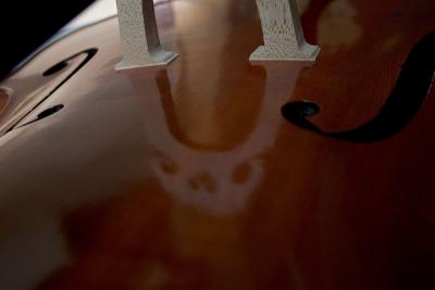 Beautiful bridge reflection in upright bass