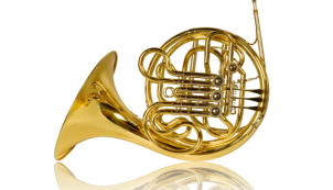 Photo of a French horn.
