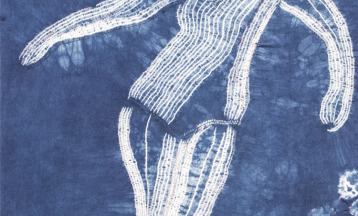 Secrets of Shibori and Indigo