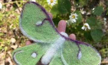 Needle Felted Luna Moth with Kristen Walsh