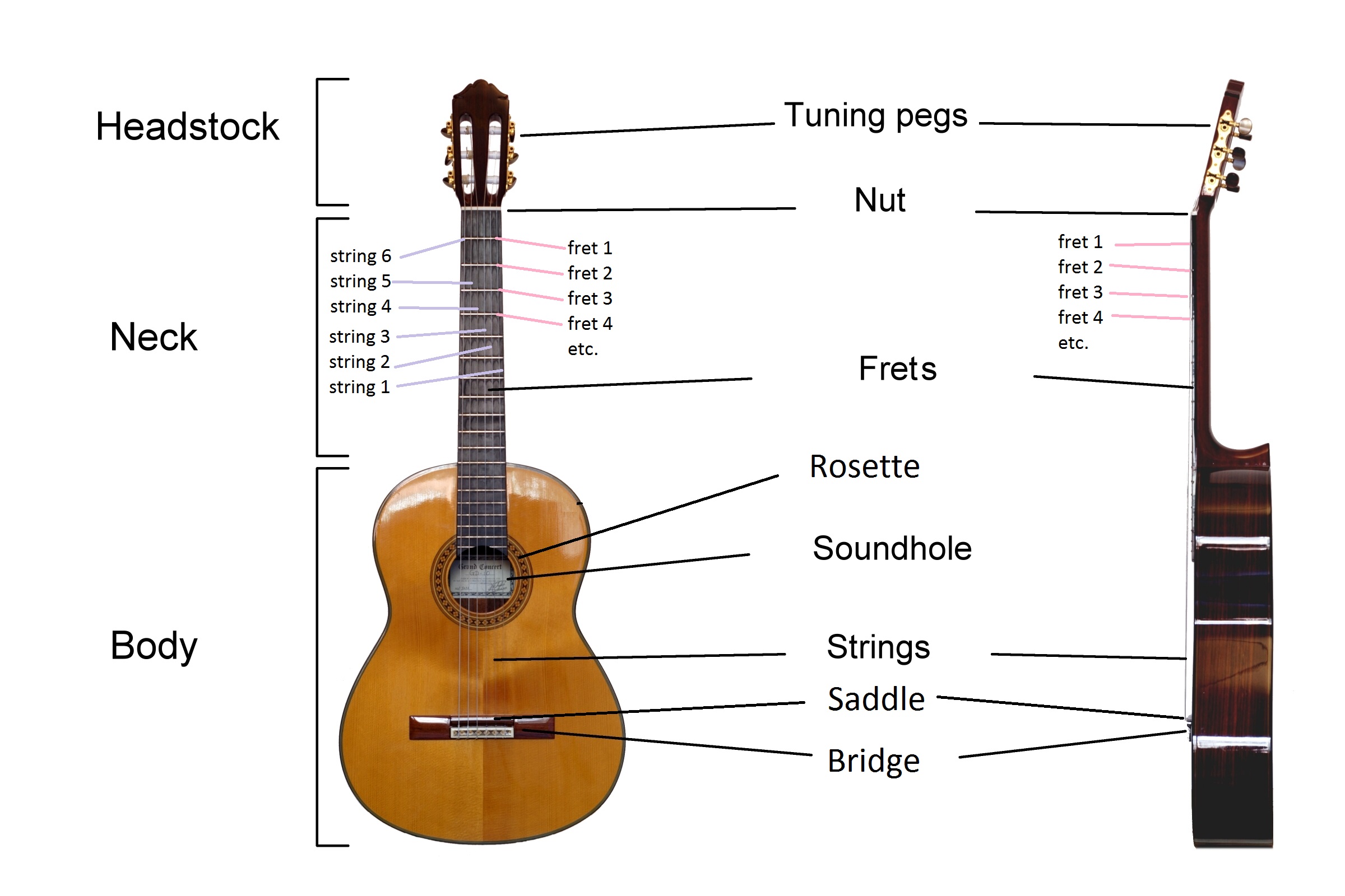 Parts of the guitar